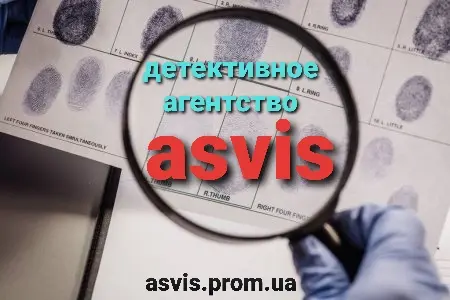 Asvis детективное агентство - фото № 12