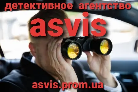 Asvis детективное агентство - фото № 13