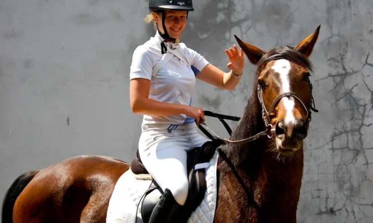 Школа верховой езды. Конные прогулки. Профи - фото № 1