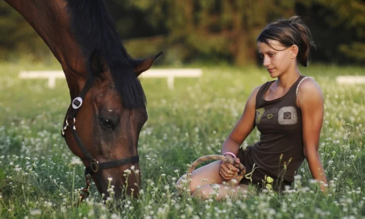 Школа верховой езды. Конные прогулки. Профи - фото № 2