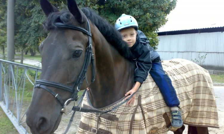 Школа верховой езды. Конные прогулки. Профи - фото № 3