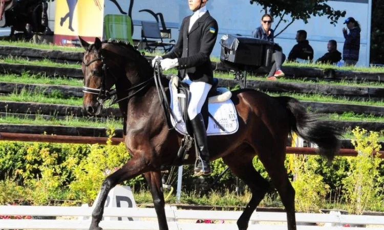 Школа верховой езды. Конные прогулки. Профи - фото № 5