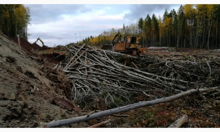 Закупаем отходы древесины от 500 м куб - фото № 2