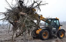 Закупаем отходы древесины от 500 м куб - фото № 3