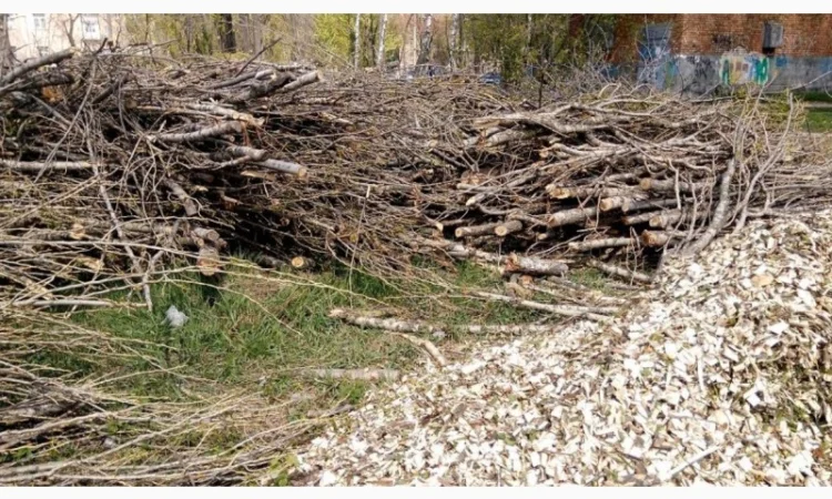 Закупаем отходы древесины от 500 м куб - фото № 4