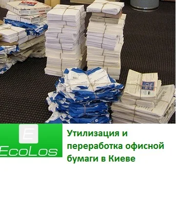 Прием, закупка, вывоз офисной бумаги и архивов - фото № 1