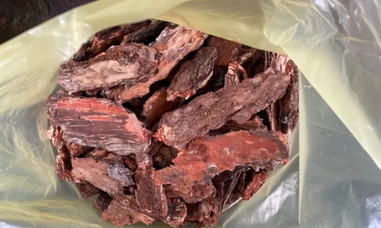 Продажа сортированной сосновой коры - фото № 1