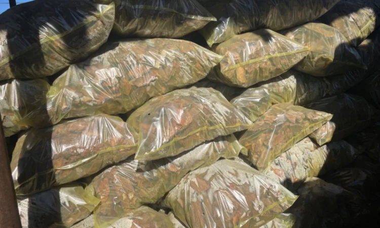 Продажа сортированной сосновой коры - фото № 2