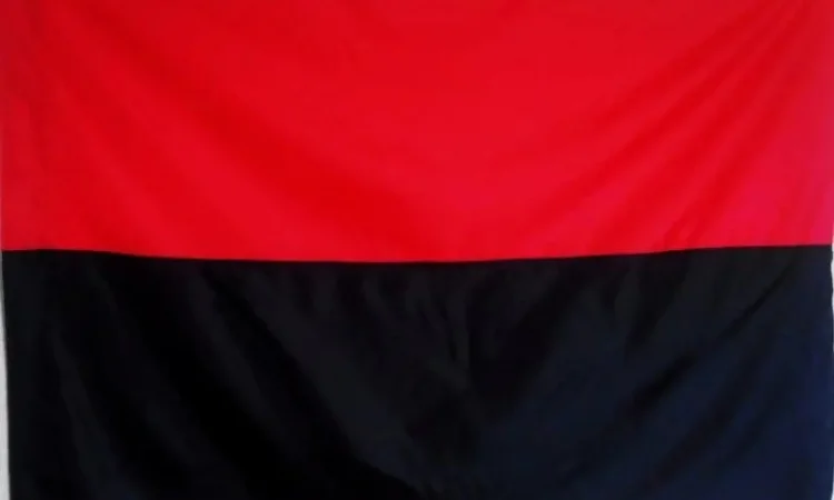 Прапор ОУН, УПА, великий, розмір: 140х90 см - фото № 3