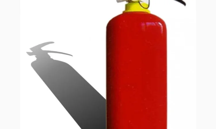 Баллон для определения пола ребенка с розовой краской 1 кг - фото № 3