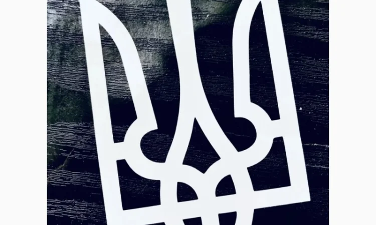 Патріотичні наліпки на авто - фото № 10