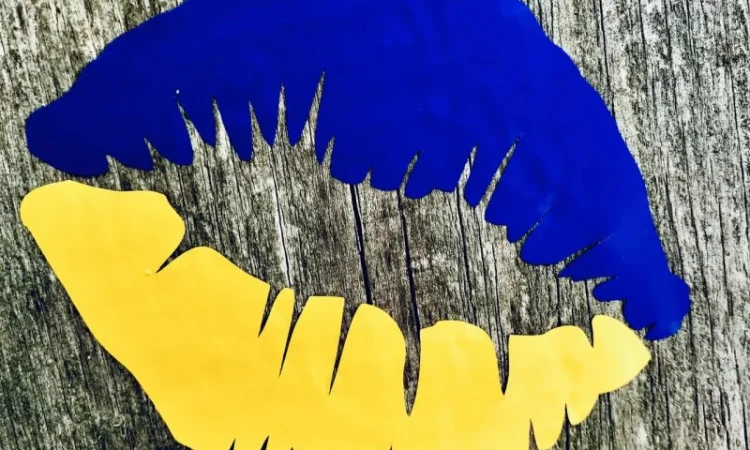 Патріотичні наліпки на авто - фото № 2