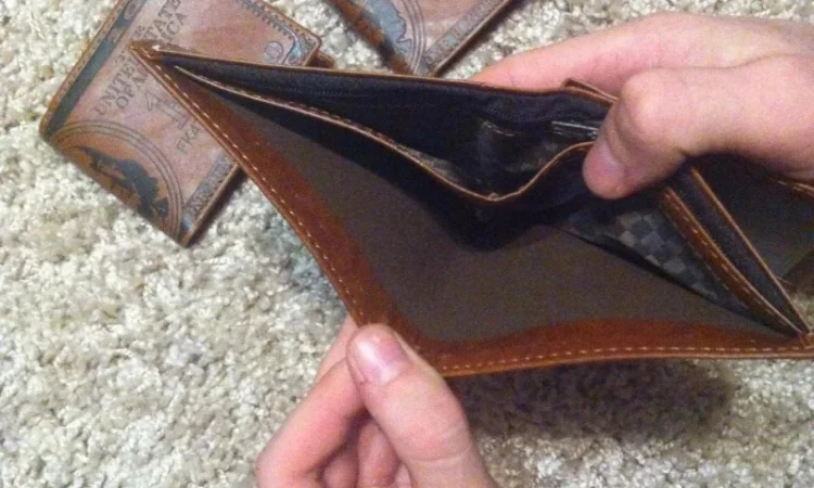 Гаманець з дизайном долара на продажу - фото № 6