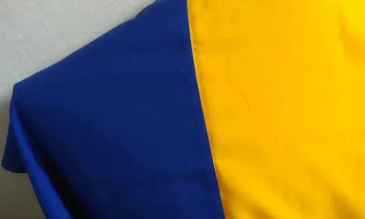 Прапор України – символ патріотизму - фото № 2