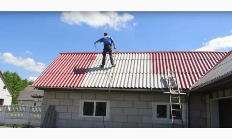 Покраска крыши в Черновцах и области - фото № 2