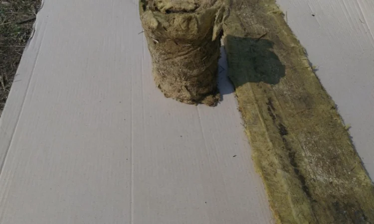 Газонная подложка - фото № 1