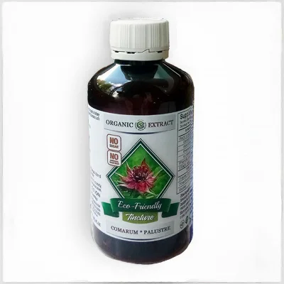 Настойка Сабельника - фото № 1