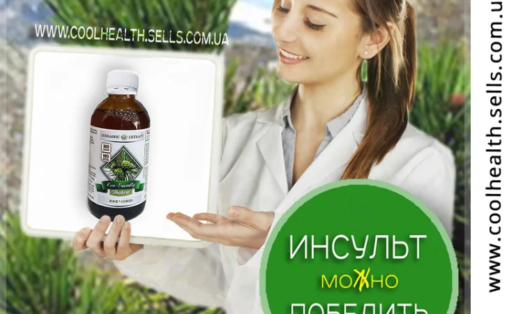 Сосновые Шишки Настойка - фото № 2