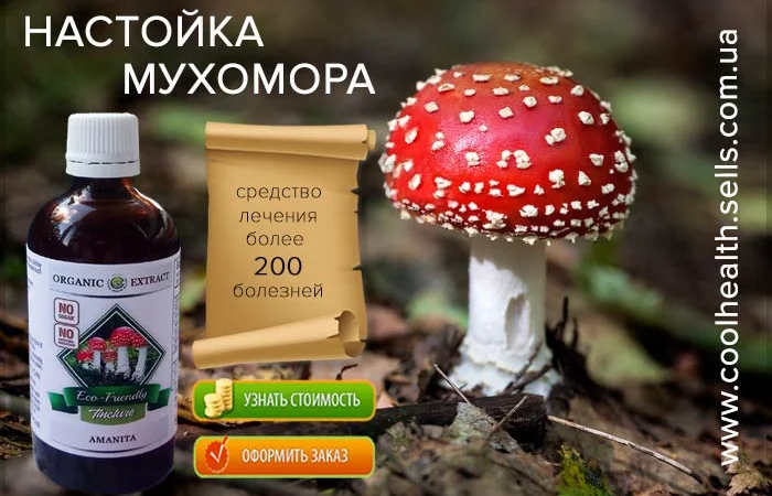 Мухомор Настойка - фото № 4