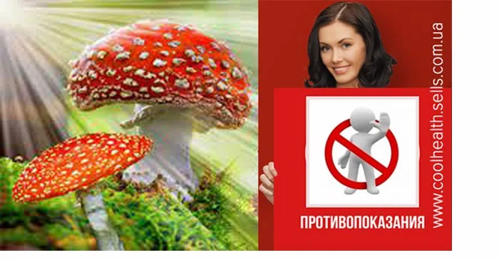 Мухомор Настойка - фото № 5