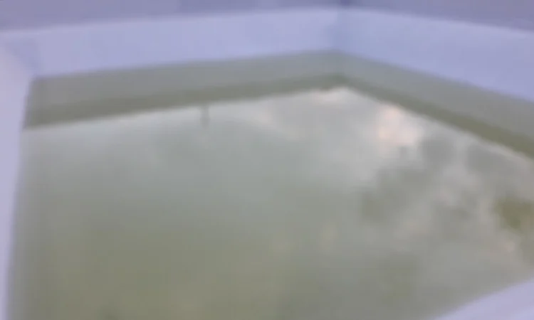 Мембранна гідроізоляція для плоских дахів у Дніпрі - фото № 1