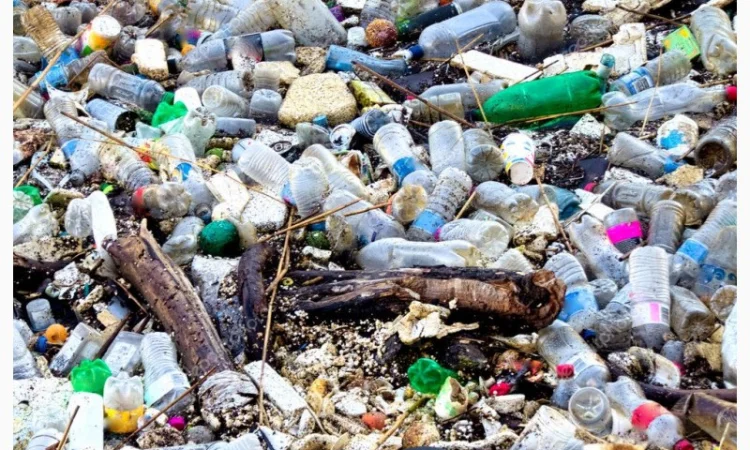 Есть покупатели на битые бутылки и стекло с 20 тонн - фото № 1