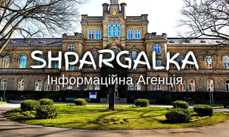 Выполнение задач на заказ в Днепре - фото № 1