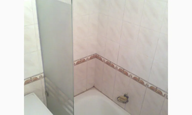 Стеклянные шторки для ванной без рамы - фото № 3