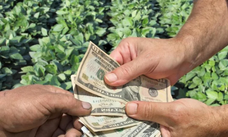 Кредит на выгодных условиях для ваших проектов - фото № 1