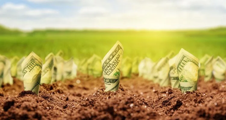 Надання фінансового кредиту для бізнесу - фото № 1