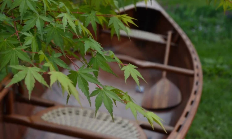 Деревянное каноэ Kipawa ручной работы - фото № 19