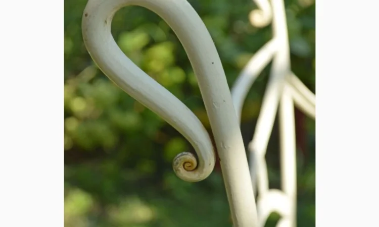 Оренда металевого вінтажного стільця в Києві - фото № 8