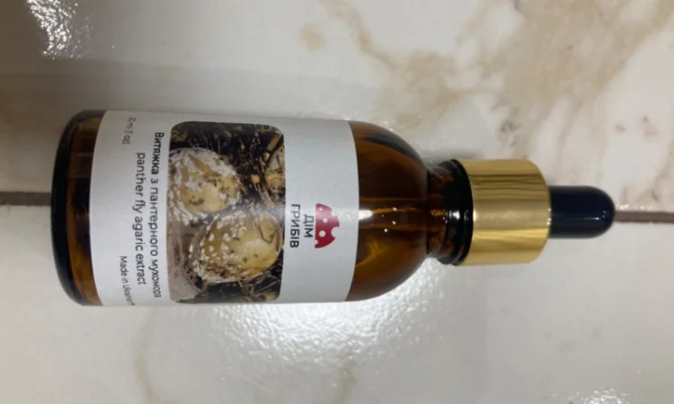 Витяжка з мухомора - фото № 3