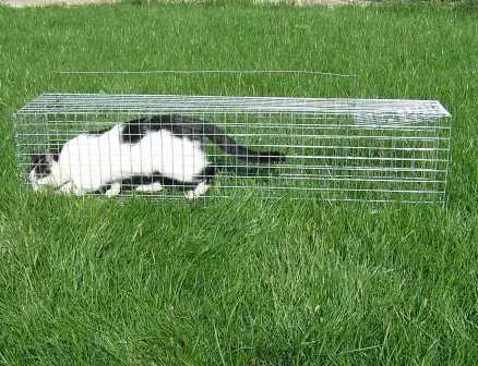 Клітка для безпечного відлову котів та собак - фото № 1