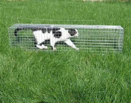 Клітка для безпечного відлову котів та собак - фото № 2
