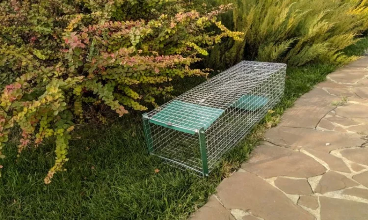 Метровая живоловушка. Котоловка с педалью. Котоловушка отлов котов 100%. Профессионально - фото № 1