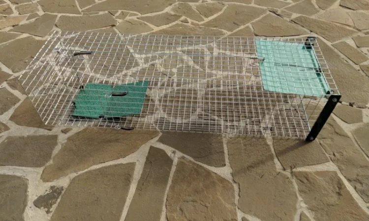 Метровая живоловушка. Котоловка с педалью. Котоловушка отлов котов 100%. Профессионально - фото № 3