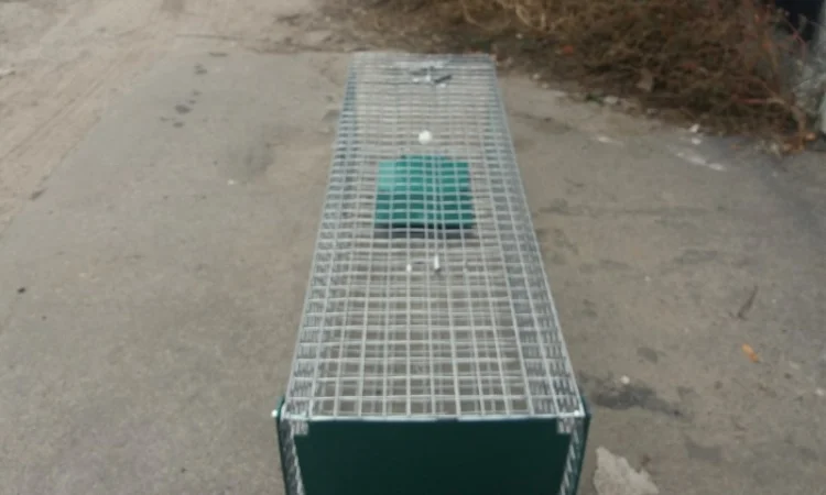 Метровая живоловушка. Котоловка с педалью. Котоловушка отлов котов 100%. Профессионально - фото № 4