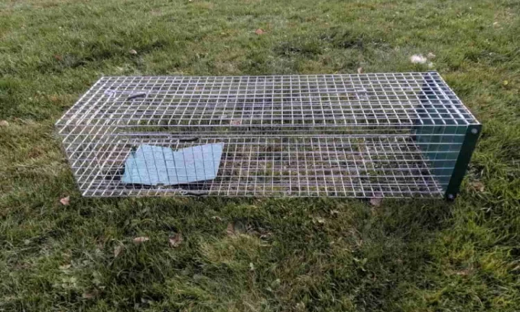 Живоловушка для отлова собак. Собаколовка. Живоловка 1, 5 м. Волонтерам - фото № 4