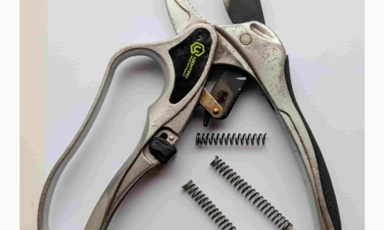 Пружина для штангового сучкореза СШ-1, секатора Павловского - фото № 6