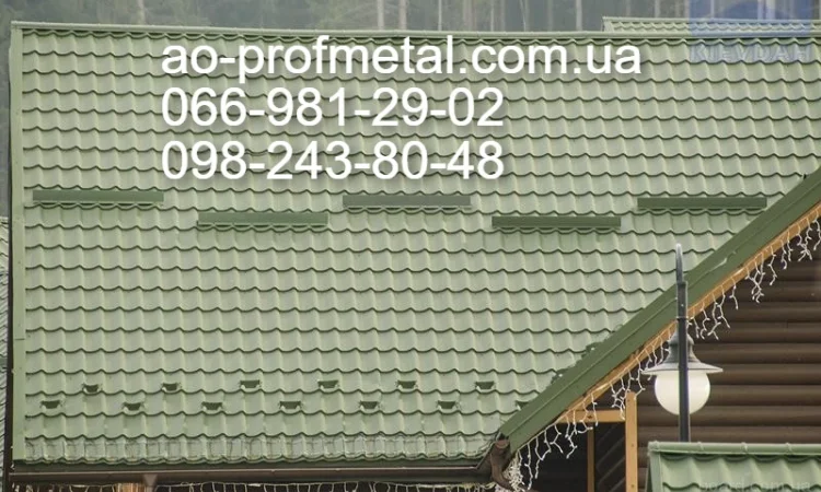 Снігозатримуюча дах - фото № 1