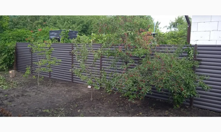 Монтаж металевого забору-жалюзі - фото № 2