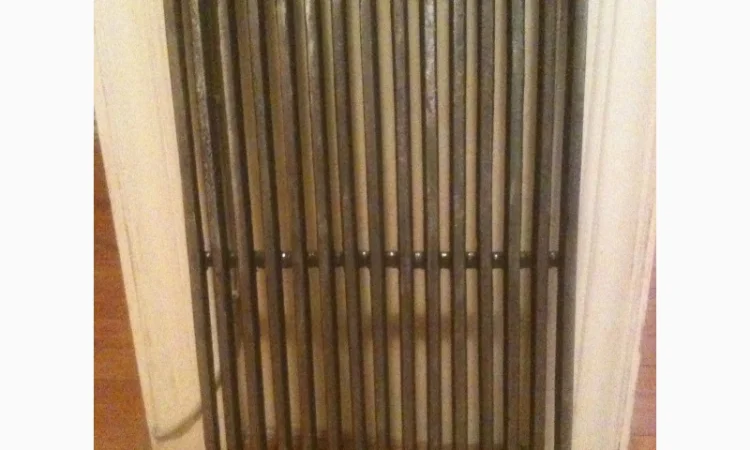 Чугунная гриль-решетка для барбекю и мангала. 44.5 см. х 24 см - фото № 1