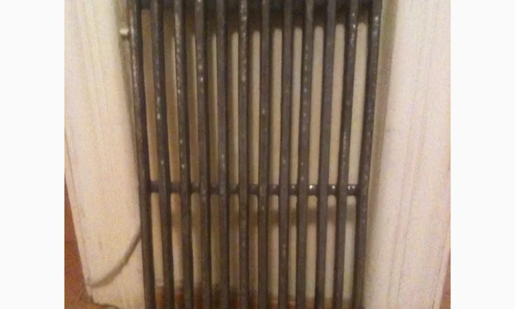 Чугунная гриль-решетка для барбекю и мангала. 36.5 см. х 20 см - фото № 1