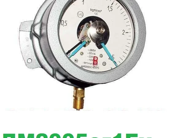 Манометр ВЭ-16рБ, ДМ2005СгЕх – для АГЗП и АГЗС - фото № 2