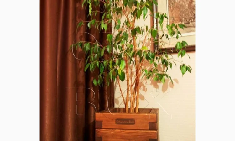 Ящик для цветов из натурального дерева - фото № 3