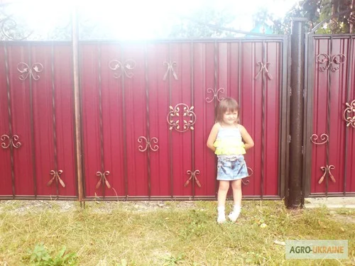 Забор из профнастила в Киеве - фото № 1