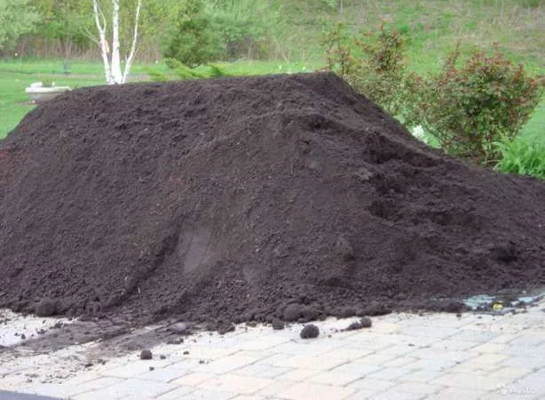 Торфокрихта и чернозем в Луцке – доставка и продажа - фото № 1