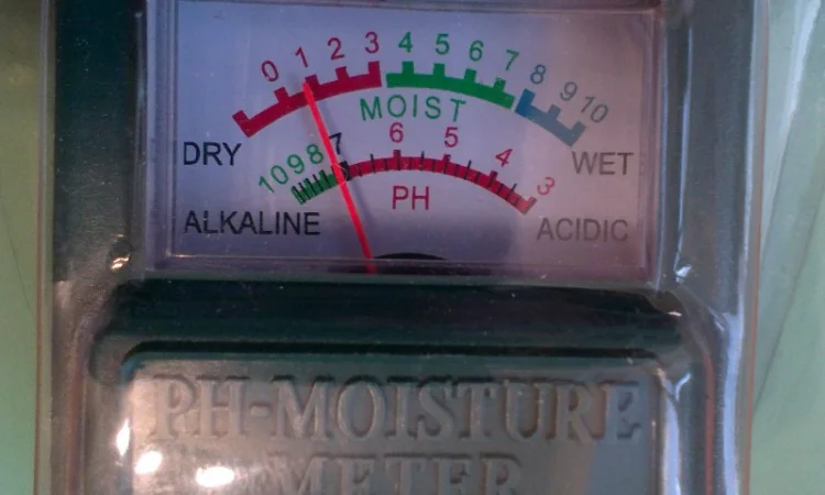Измеритель кислотности ( от 3 до 10 рН ) и влажности грунта МР-330 - фото № 2