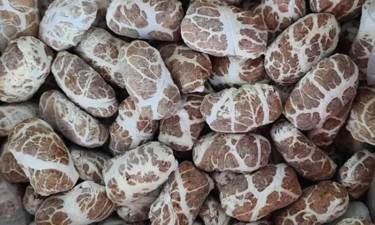 Полуфабрикати заморожені від виробника – Доставка по Києву - фото № 5